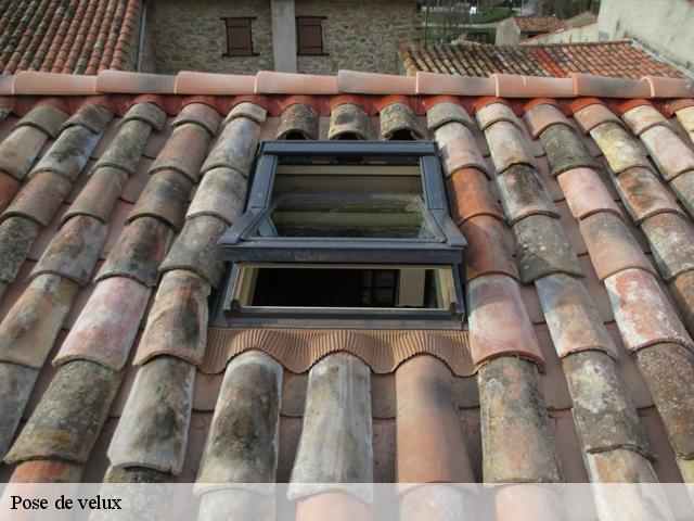 Pose de velux