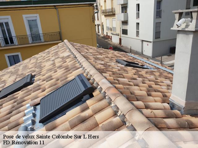 Pose de velux 11230