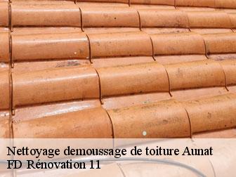 Nettoyage demoussage de toiture aunat-11140 entreprise Fayard