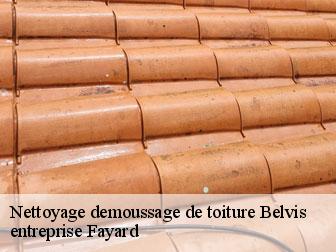 Nettoyage demoussage de toiture  belvis-11340 entreprise Fayard
