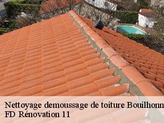 Nettoyage demoussage de toiture 11800