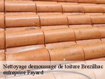 Nettoyage demoussage de toiture  brezilhac-11270 entreprise Fayard