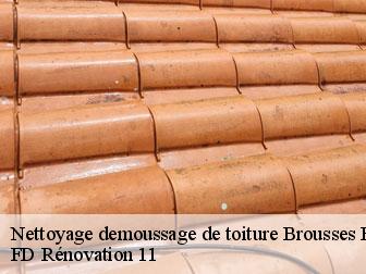 Nettoyage demoussage de toiture brousses-et-villaret-11390 entreprise Fayard