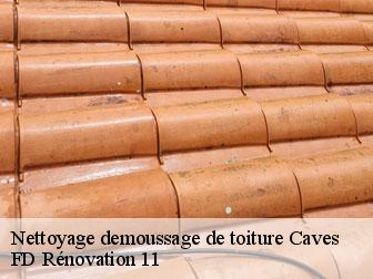 Nettoyage demoussage de toiture caves-11510 Artisan Fayard