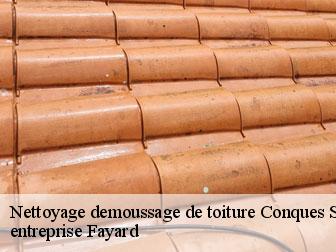 Nettoyage demoussage de toiture  conques-sur-orbiel-11600 entreprise Fayard