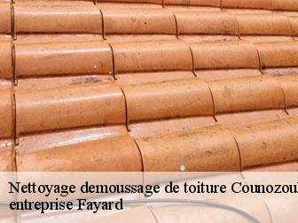 Nettoyage demoussage de toiture  counozouls-11140 entreprise Fayard