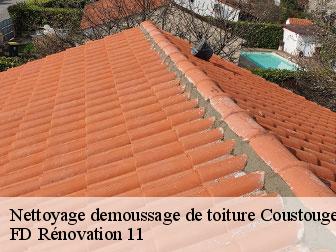 Nettoyage demoussage de toiture 11220