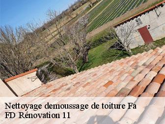 Nettoyage demoussage de toiture