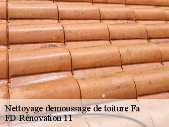 Nettoyage demoussage de toiture fa-11260 entreprise Fayard