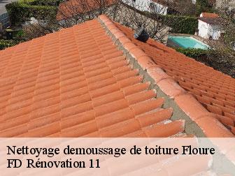 Nettoyage demoussage de toiture 11800