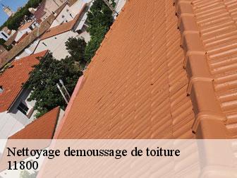 Nettoyage demoussage de toiture 11800