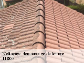 Nettoyage demoussage de toiture