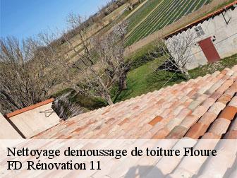 Nettoyage demoussage de toiture