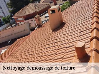 Nettoyage demoussage de toiture