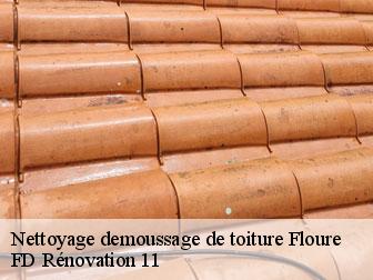 Nettoyage demoussage de toiture floure-11800 entreprise Fayard