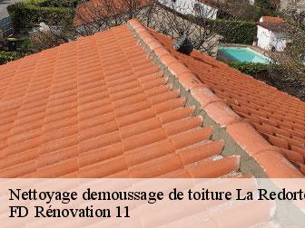 Nettoyage demoussage de toiture 11700