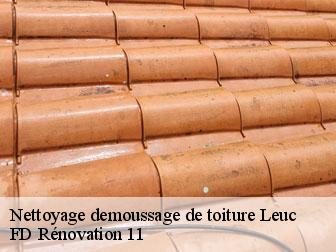 Nettoyage demoussage de toiture leuc-11250 entreprise Fayard