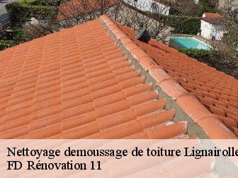 Nettoyage demoussage de toiture 11240