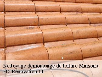 Nettoyage demoussage de toiture maisons-11330 entreprise Fayard
