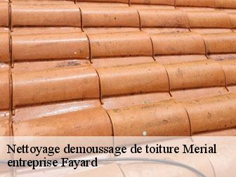 Nettoyage demoussage de toiture  merial-11140 entreprise Fayard