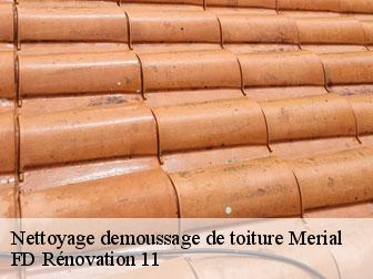 Nettoyage demoussage de toiture merial-11140 entreprise Fayard