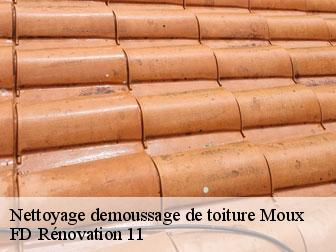 Nettoyage demoussage de toiture moux-11700 entreprise Fayard