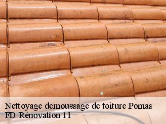 Nettoyage demoussage de toiture pomas-11250 entreprise Fayard