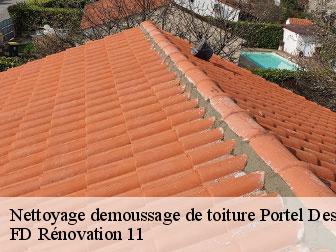 Nettoyage demoussage de toiture 11490