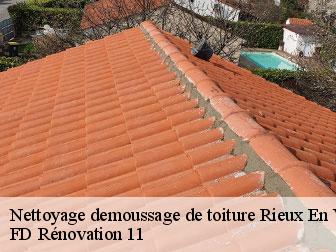 Nettoyage demoussage de toiture 11220