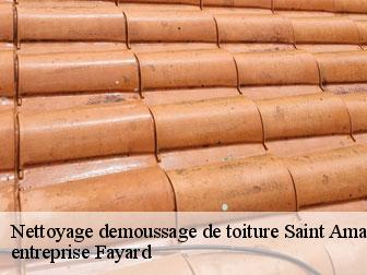 Nettoyage demoussage de toiture  saint-amans-11270 entreprise Fayard