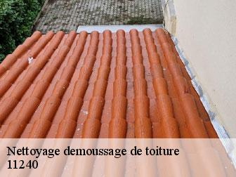 Nettoyage demoussage de toiture 11240