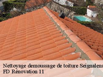 Nettoyage demoussage de toiture 11240