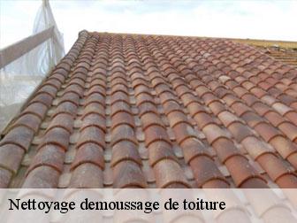 Nettoyage demoussage de toiture 11240