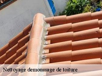 Nettoyage demoussage de toiture