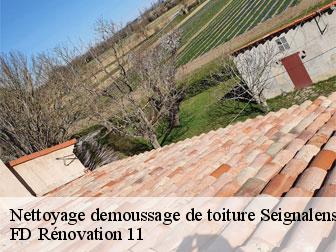 Nettoyage demoussage de toiture