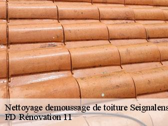 Nettoyage demoussage de toiture seignalens-11240 entreprise Fayard