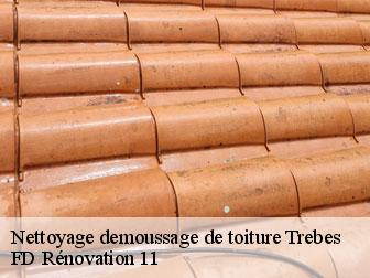 Nettoyage demoussage de toiture trebes-11800 entreprise Fayard