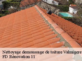 Nettoyage demoussage de toiture 11580