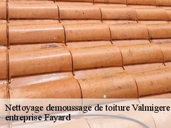 Nettoyage demoussage de toiture  valmigere-11580 entreprise Fayard