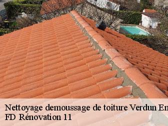Nettoyage demoussage de toiture 11400