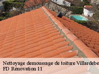 Nettoyage demoussage de toiture 11580