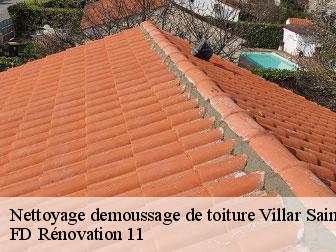 Nettoyage demoussage de toiture 11250