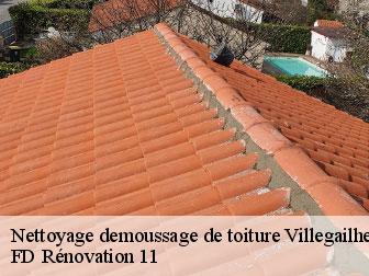Nettoyage demoussage de toiture 11600