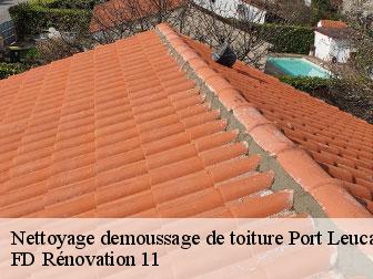 Nettoyage demoussage de toiture 11370