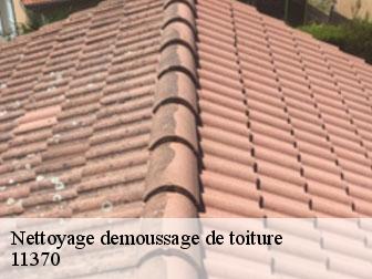 Nettoyage demoussage de toiture