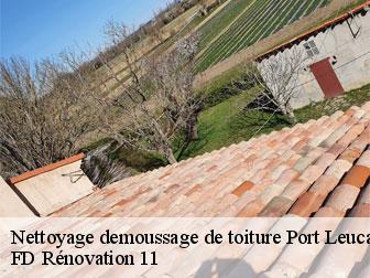 Nettoyage demoussage de toiture